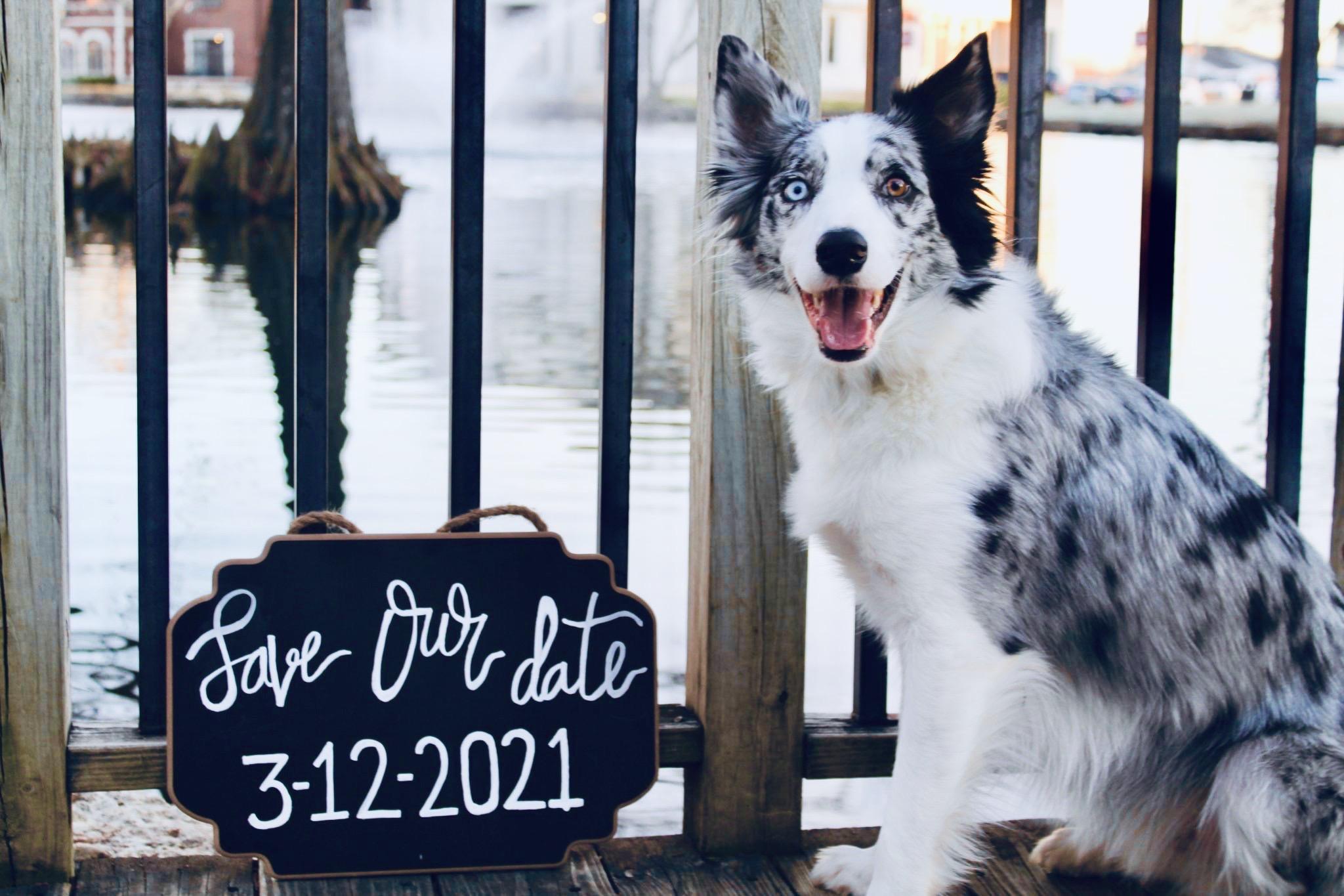 The Wedding Website of Joni Seiler and Derek Brandenburg